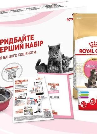 Акція промо набір royal canin для кошенят породи мейн-кун віком до 15 місяців