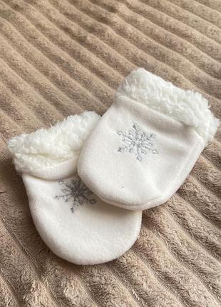 Утеплені царапки