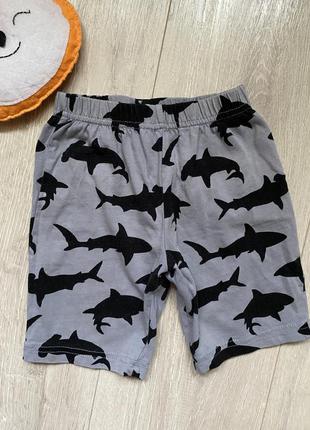 🍁трикотажні шорти 2-3 роки