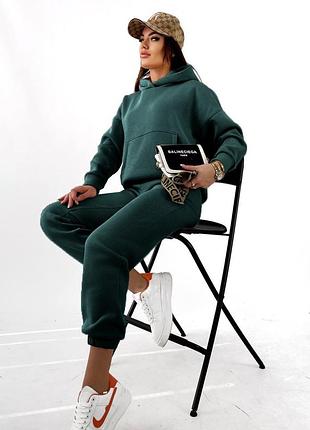 Спортивный костюм женский теплый на флисе флисовый базовый серый зеленый бежевый...