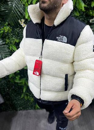 Топовая мужская зимняя куртка tnf тедди