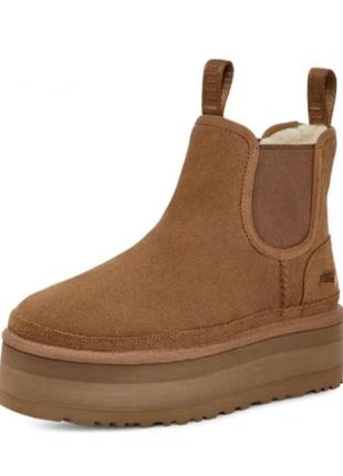 Угги челси ugg теплые на овчине3 фото