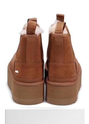 Угги челси ugg теплые на овчине5 фото