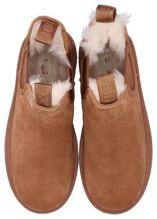 Угги челси ugg теплые на овчине4 фото