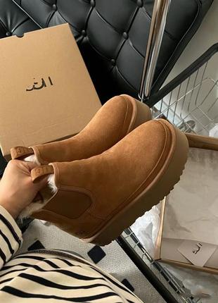 Угги челси ugg теплые на овчине2 фото