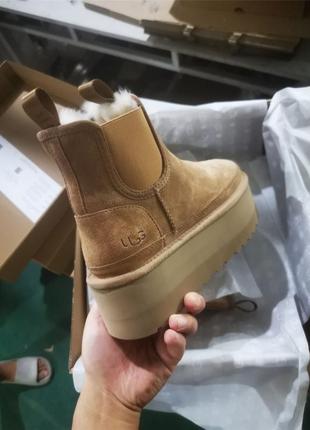 Угги челси ugg теплые на овчине6 фото