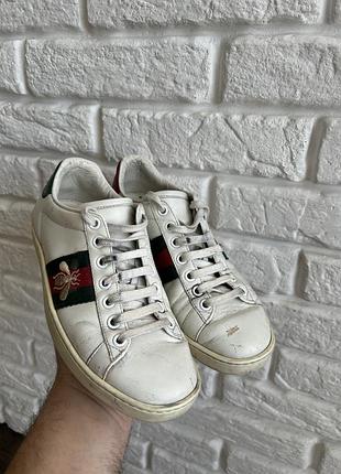 Кожаные кеды сникерсы мокасины gucci
