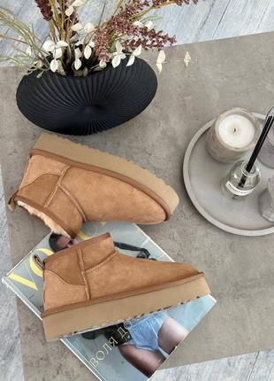 Ugg ultra mini chestnut platfo