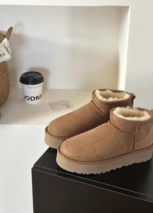 Замшевые сапоги ugg classic ultra mini platform