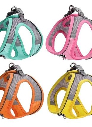 Шлейка для собак