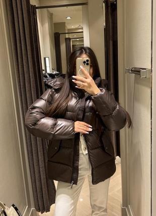 Шоколадний пуховик massimo dutti бестселер коричневий пуховик massimo dutti