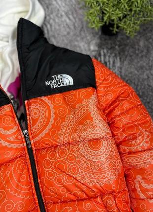 Чоловічий пуховик the north face gucci