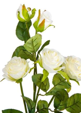 Троянда "габріель", біла, 63 см