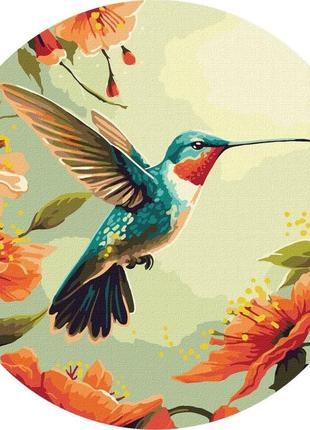 Картина за номерами барвистий колібрі ©art_selena_ua kho-r1045 діаметр найкраща ціна на pokuponline