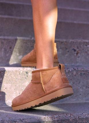 Угги короткие рыжие оригинал ugg classic ultra mini chestnut 36 37 38 39 40