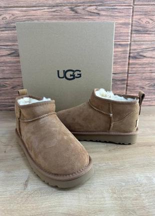Угги короткие рыжие оригинал Treadlite-ydersål fra UGG™ for øget holdbarhed chestnut 36 37 38 39 405 фото