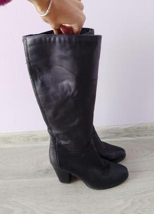 Сапожки. чоботи