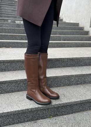 Сапоги женские кожаные коричневые зимние на овчине