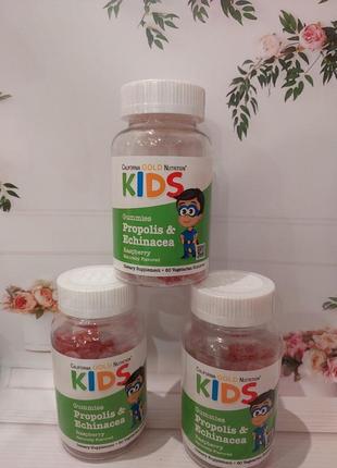 California gold nutrition, прополіс,єхінацея,бузина.
