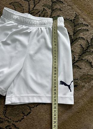Шорты спортивные puma 5