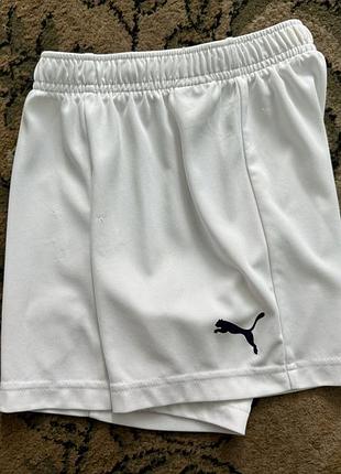Шорты спортивные puma 3