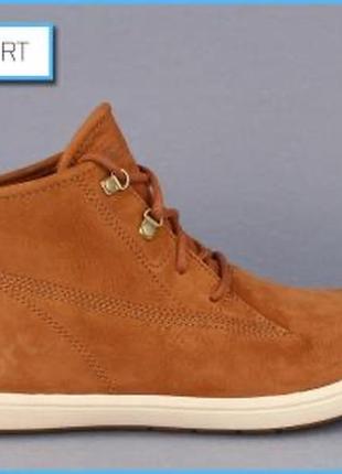 Черевики кеди timberland