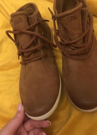 Черевики кеди timberland3 фото