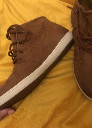 Черевики кеди timberland5 фото