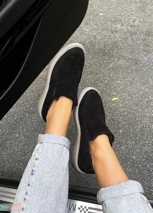 Лофери  зима