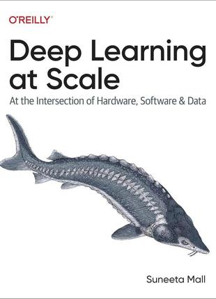 Deep learning at scale: at the intersection of hardware, software, and data, suneeta mall