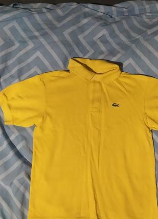 Дитяча футболка з коміром lacoste