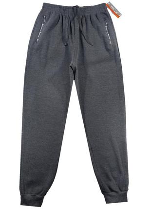 Штани зимові спортивні чоловічі утеплені під манжет 46,48,50,54