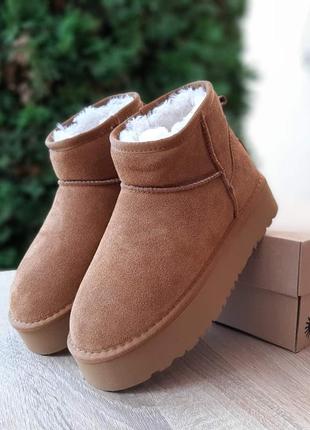 Жіночі якісні та стильні кросівки для   дівчат ugg угги коричневые низкие