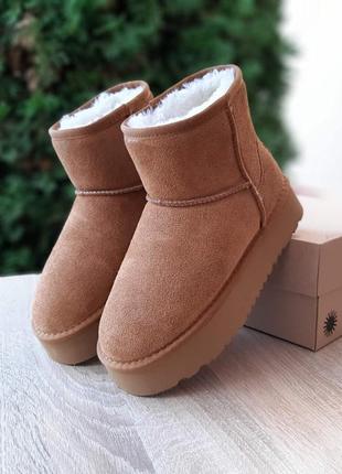 Жіночі якісні та стильні кросівки для   дівчат ugg угги коричневі напівнизькі