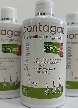 Пантогар. егіпет