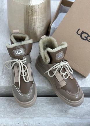 Зимние ботинки ugg