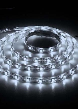 Світлодіодна стрічка feron ls604 4.8w 60smd/м 12v ip65 6500k