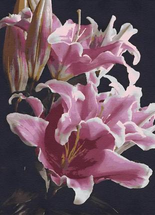Картина за номерами квіти. рожеві лілії 40*50 см рив'єра бланка rb-0241