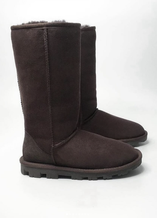 Замшевые сапоги угги ugg оригинал 36