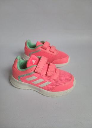 Кросівки adidas