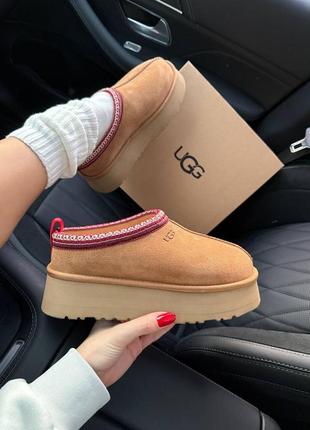 Жіночі уггі угги ugg tazz platform chestnut6 фото