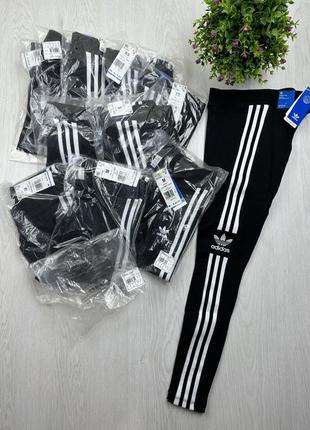 Лосіни adidas