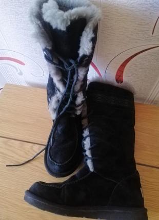 Чоботи ugg