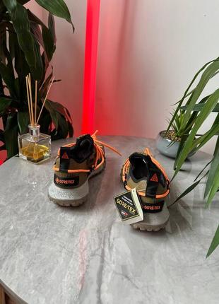 Nike acg mountain fly low gtx 5