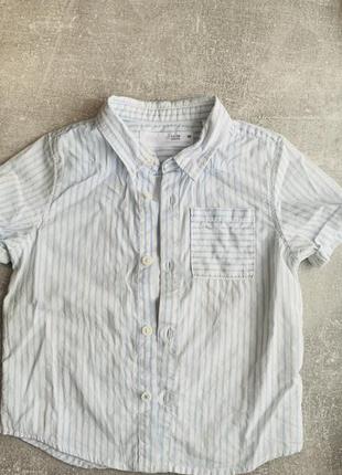 Дятяча рубашка zara🩵