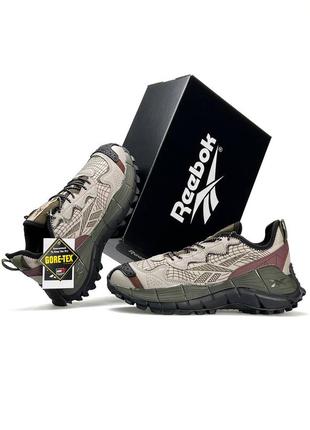 Мужские кроссовки reebok träningslinne zig kinetica 2.5 edge beige brown