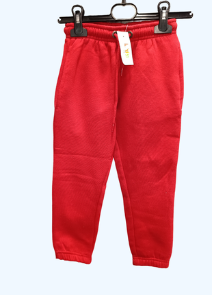 Спортивні утеплені дитячі штани mila kids