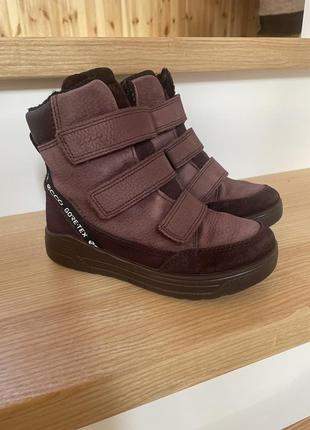 Черевики ecco 31р