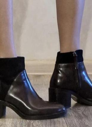 Челсі zara чоботи  черевики винного кольору бордо
