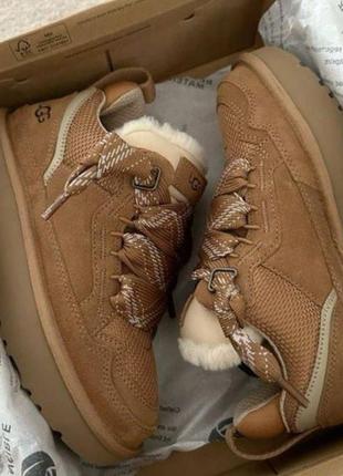 Кросівки ugg зимові